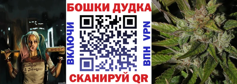 где продают наркотики  Гатчина  Бошки марихуана семена 